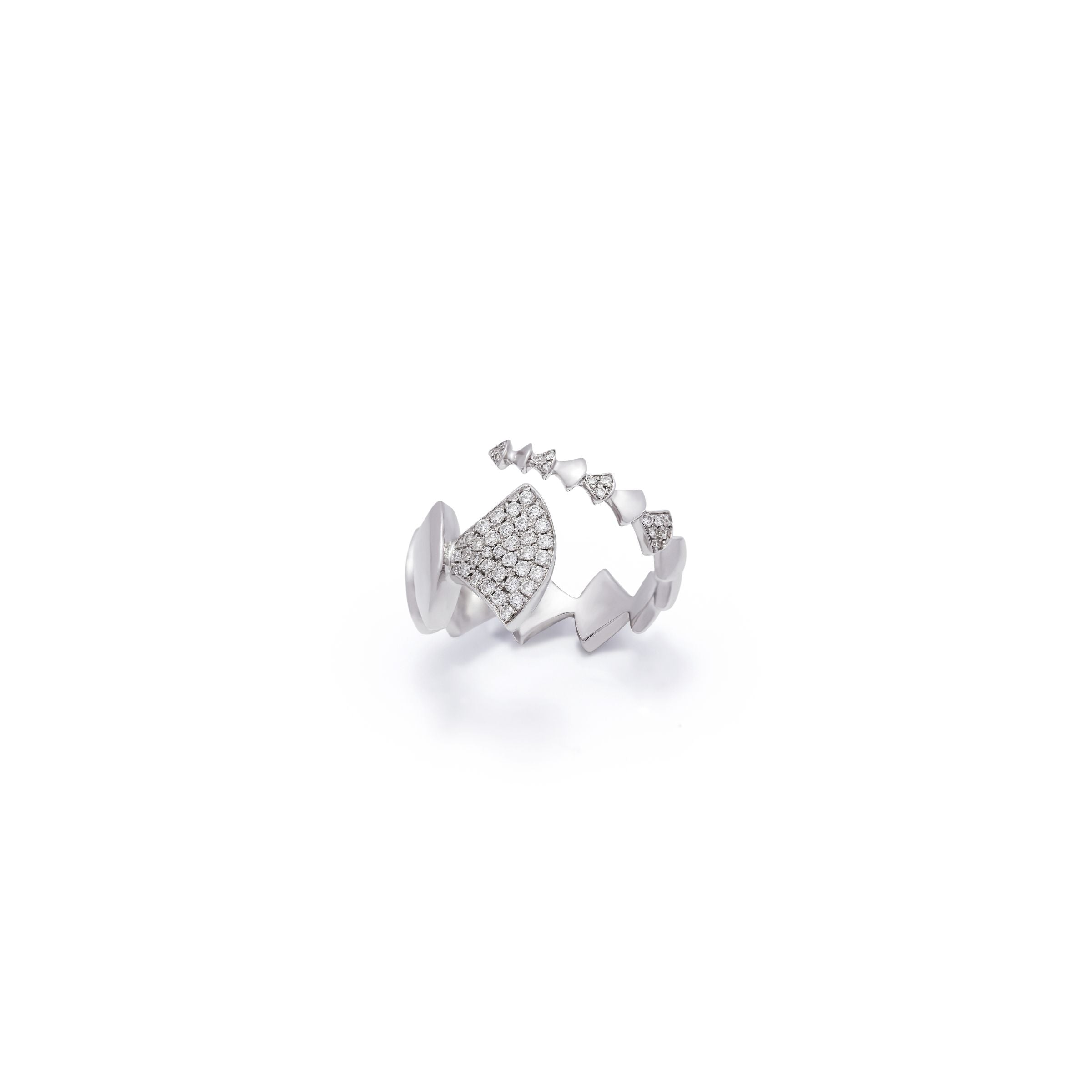 Reborn Big Ring